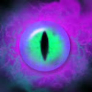 Meet your Posher, Forgotten